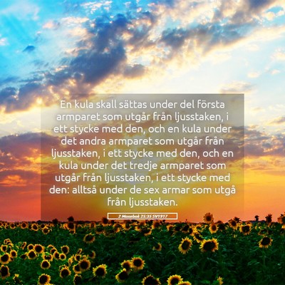 Picture 05 - 2 Mosebok 25:35 SV1917 - En kula skall sättas under del första armparet - Bible Verse Picture
