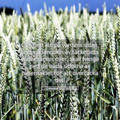 Picture 05 - 2 Mosebok 26:13 SV1917 - Och den aln på vardera sidan, som på längden - Bible Verse Picture