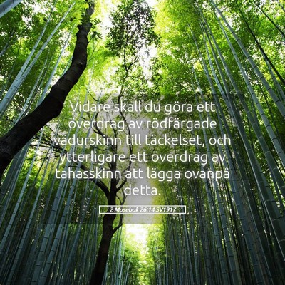 Picture 05 - 2 Mosebok 26:14 SV1917 - Vidare skall du göra ett överdrag av - Bible Verse Picture