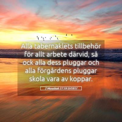 Picture 05 - 2 Mosebok 27:19 SV1917 - Alla tabernaklets tillbehör för allt arbete - Bible Verse Picture