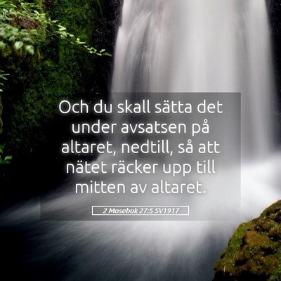 Picture 05 - 2 Mosebok 27:5 SV1917 - Och du skall sätta det under avsatsen på - Bible Verse Picture