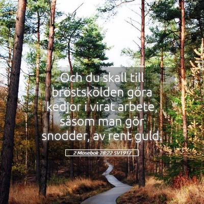 Picture 05 - 2 Mosebok 28:22 SV1917 - Och du skall till bröstskölden göra kedjor i - Bible Verse Picture
