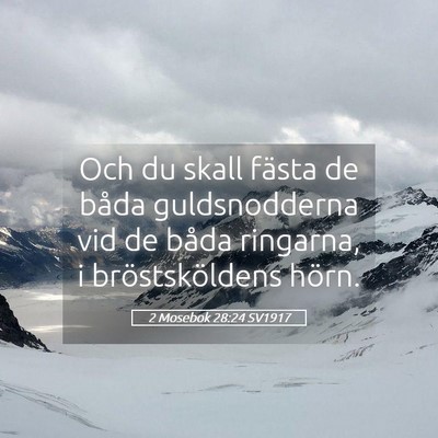 Picture 05 - 2 Mosebok 28:24 SV1917 - Och du skall fästa de båda guldsnodderna vid de - Bible Verse Picture