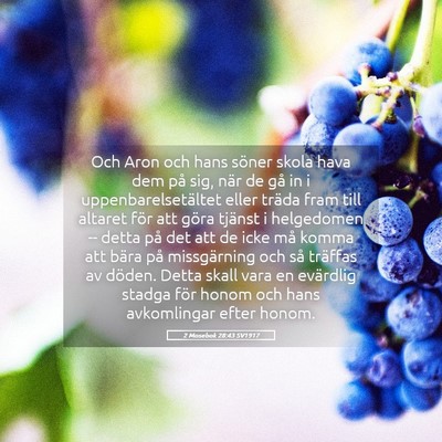 Picture 05 - 2 Mosebok 28:43 SV1917 - Och Aron och hans söner skola hava dem på sig, - Bible Verse Picture