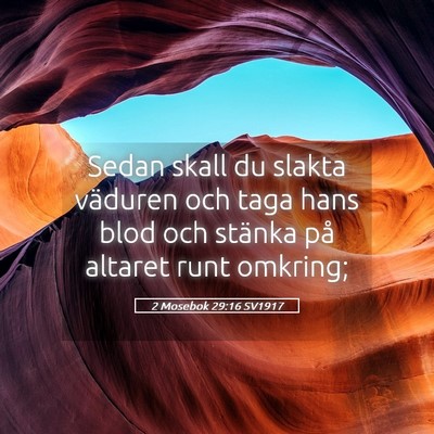 Picture 05 - 2 Mosebok 29:16 SV1917 - Sedan skall du slakta väduren och taga hans blod - Bible Verse Picture