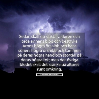 Picture 05 - 2 Mosebok 29:20 SV1917 - Sedan skall du slakta väduren och taga av hans - Bible Verse Picture
