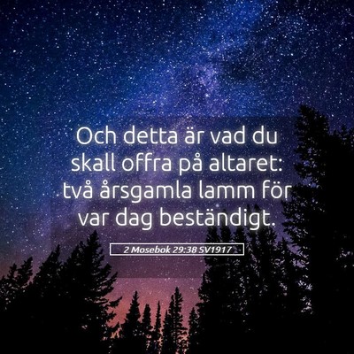 Picture 05 - 2 Mosebok 29:38 SV1917 - Och detta är vad du skall offra på altaret: - Bible Verse Picture