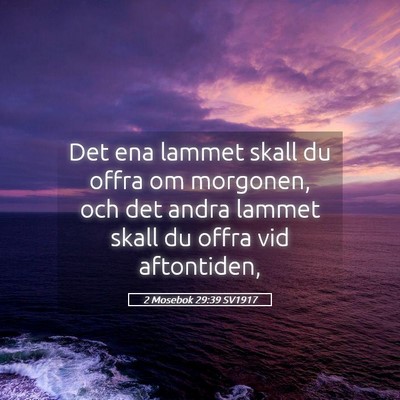 Picture 05 - 2 Mosebok 29:39 SV1917 - Det ena lammet skall du offra om morgonen, och - Bible Verse Picture