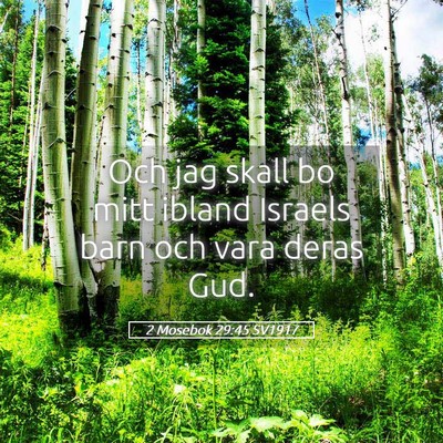 Picture 05 - 2 Mosebok 29:45 SV1917 - Och jag skall bo mitt ibland Israels barn och - Bible Verse Picture