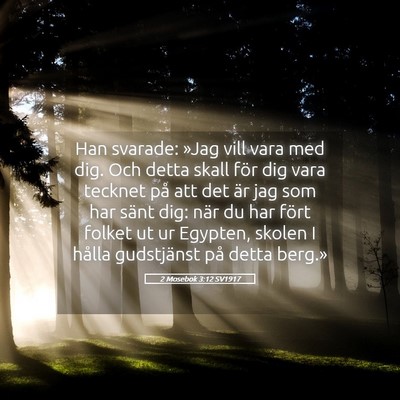 Picture 05 - 2 Mosebok 3:12 SV1917 - Han svarade: »Jag vill vara med dig. Och detta - Bible Verse Picture
