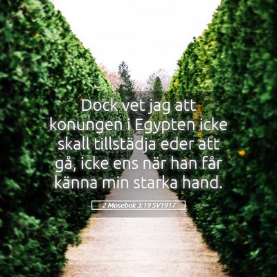 Picture 05 - 2 Mosebok 3:19 SV1917 - Dock vet jag att konungen i Egypten icke skall - Bible Verse Picture