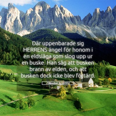 Picture 05 - 2 Mosebok 3:2 SV1917 - Där uppenbarade sig HERRENS ängel för honom i - Bible Verse Picture