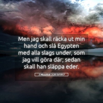 Picture 05 - 2 Mosebok 3:20 SV1917 - Men jag skall räcka ut min hand och slå Egypten - Bible Verse Picture
