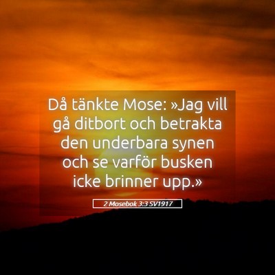 Picture 05 - 2 Mosebok 3:3 SV1917 - Då tänkte Mose: »Jag vill gå ditbort och - Bible Verse Picture
