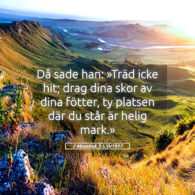 Picture 05 - 2 Mosebok 3:5 SV1917 - Då sade han: »Träd icke hit; drag dina skor av - Bible Verse Picture