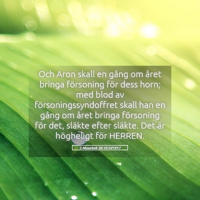 Picture 05 - 2 Mosebok 30:10 SV1917 - Och Aron skall en gång om året bringa - Bible Verse Picture