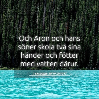 Picture 05 - 2 Mosebok 30:19 SV1917 - Och Aron och hans söner skola två sina händer - Bible Verse Picture