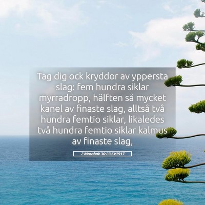 Picture 05 - 2 Mosebok 30:23 SV1917 - Tag dig ock kryddor av yppersta slag: fem hundra - Bible Verse Picture