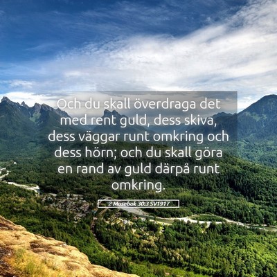 Picture 05 - 2 Mosebok 30:3 SV1917 - Och du skall överdraga det med rent guld, dess - Bible Verse Picture