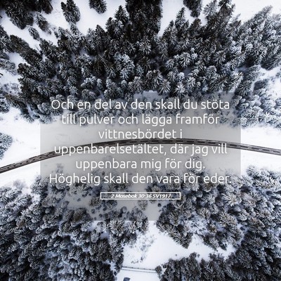 Picture 05 - 2 Mosebok 30:36 SV1917 - Och en del av den skall du stöta till pulver och - Bible Verse Picture