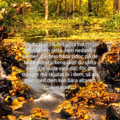 Picture 05 - 2 Mosebok 30:4 SV1917 - Och du skall till det göra två ringar av guld - Bible Verse Picture