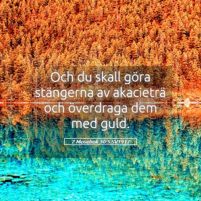Picture 05 - 2 Mosebok 30:5 SV1917 - Och du skall göra stängerna av akacieträ och - Bible Verse Picture