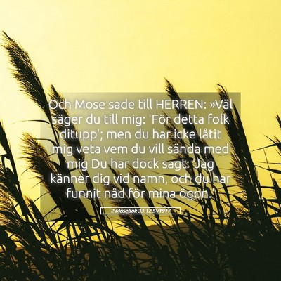 Picture 05 - 2 Mosebok 33:12 SV1917 - Och Mose sade till HERREN: »Väl säger du till - Bible Verse Picture