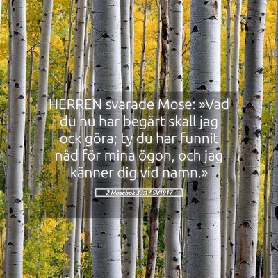 Picture 05 - 2 Mosebok 33:17 SV1917 - HERREN svarade Mose: »Vad du nu har begärt - Bible Verse Picture