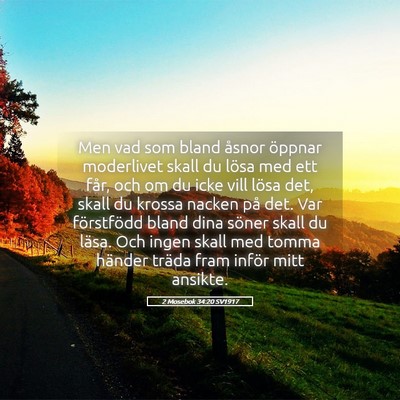 Picture 05 - 2 Mosebok 34:20 SV1917 - Men vad som bland åsnor öppnar moderlivet skall - Bible Verse Picture
