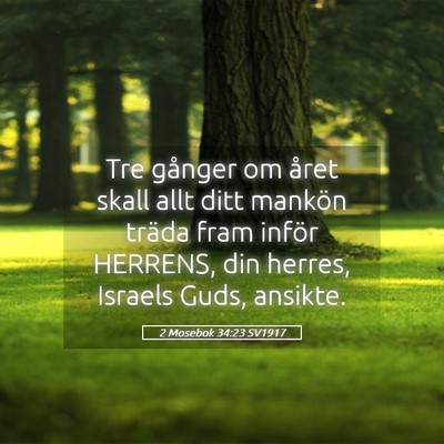 Picture 05 - 2 Mosebok 34:23 SV1917 - Tre gånger om året skall allt ditt mankön - Bible Verse Picture