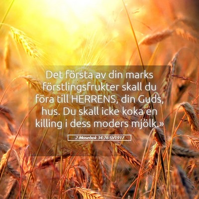 Picture 05 - 2 Mosebok 34:26 SV1917 - Det första av din marks förstlingsfrukter skall - Bible Verse Picture