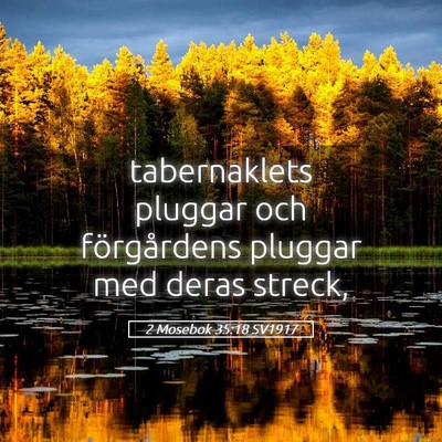 Picture 05 - 2 Mosebok 35:18 SV1917 - tabernaklets pluggar och förgårdens pluggar med - Bible Verse Picture