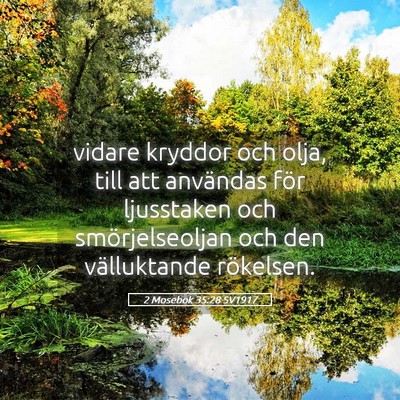 Picture 05 - 2 Mosebok 35:28 SV1917 - vidare kryddor och olja, till att användas för - Bible Verse Picture