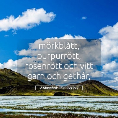 Picture 05 - 2 Mosebok 35:6 SV1917 - mörkblått, purpurrött, rosenrött och vitt - Bible Verse Picture