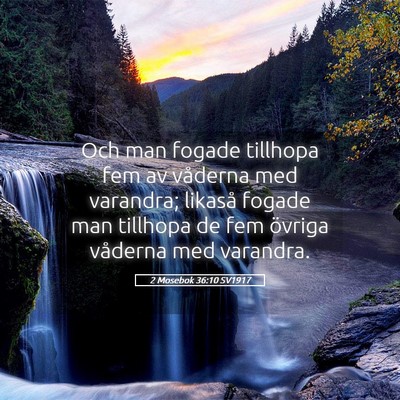 Picture 05 - 2 Mosebok 36:10 SV1917 - Och man fogade tillhopa fem av våderna med - Bible Verse Picture