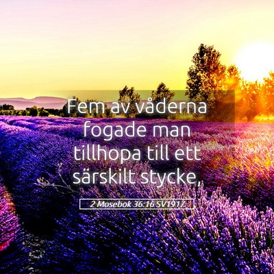 Picture 05 - 2 Mosebok 36:16 SV1917 - Fem av våderna fogade man tillhopa till ett - Bible Verse Picture
