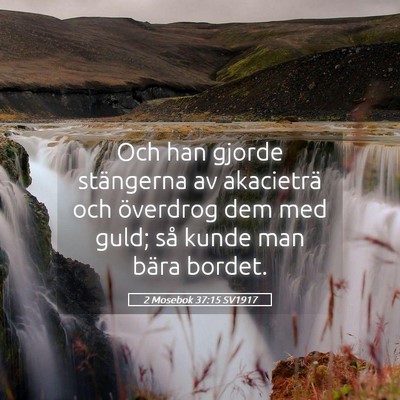 Picture 05 - 2 Mosebok 37:15 SV1917 - Och han gjorde stängerna av akacieträ och - Bible Verse Picture