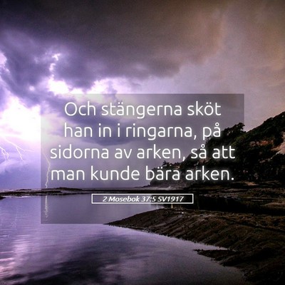 Picture 05 - 2 Mosebok 37:5 SV1917 - Och stängerna sköt han in i ringarna, på - Bible Verse Picture