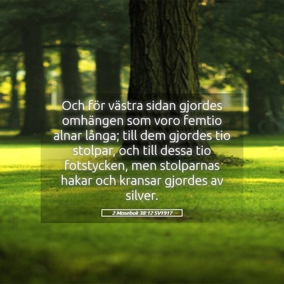 Picture 05 - 2 Mosebok 38:12 SV1917 - Och för västra sidan gjordes omhängen som voro - Bible Verse Picture