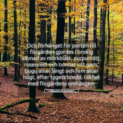 Picture 05 - 2 Mosebok 38:18 SV1917 - Och förhänget för porten till förgården - Bible Verse Picture