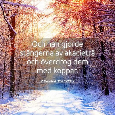 Picture 05 - 2 Mosebok 38:6 SV1917 - Och han gjorde stängerna av akacieträ och - Bible Verse Picture