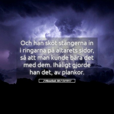 Picture 05 - 2 Mosebok 38:7 SV1917 - Och han sköt stängerna in i ringarna på - Bible Verse Picture