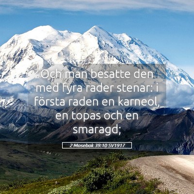 Picture 05 - 2 Mosebok 39:10 SV1917 - Och man besatte den med fyra rader stenar: i - Bible Verse Picture