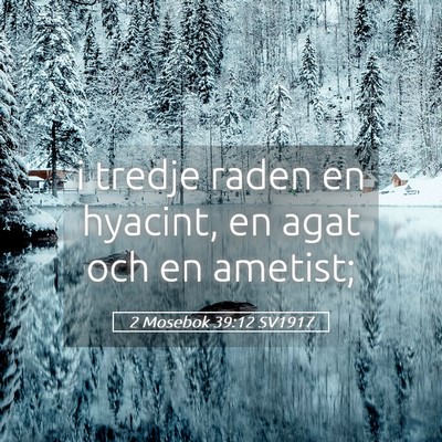 Picture 05 - 2 Mosebok 39:12 SV1917 - i tredje raden en hyacint, en agat och en - Bible Verse Picture