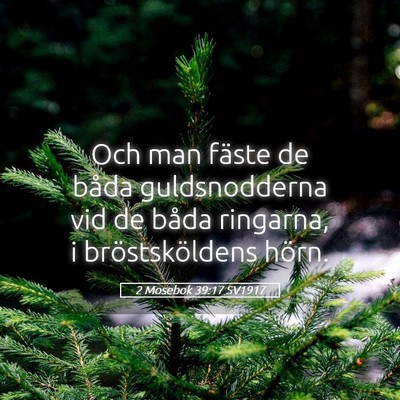 Picture 05 - 2 Mosebok 39:17 SV1917 - Och man fäste de båda guldsnodderna vid de - Bible Verse Picture