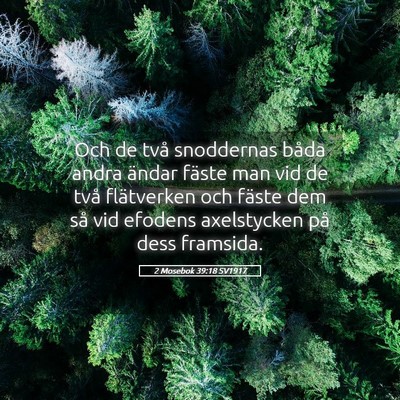 Picture 05 - 2 Mosebok 39:18 SV1917 - Och de två snoddernas båda andra ändar fäste - Bible Verse Picture