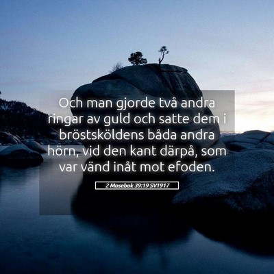Picture 05 - 2 Mosebok 39:19 SV1917 - Och man gjorde två andra ringar av guld och - Bible Verse Picture
