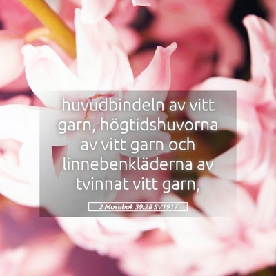 Picture 05 - 2 Mosebok 39:28 SV1917 - huvudbindeln av vitt garn, högtidshuvorna av - Bible Verse Picture