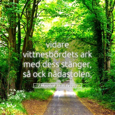 Picture 05 - 2 Mosebok 39:35 SV1917 - vidare vittnesbördets ark med dess stänger, så - Bible Verse Picture