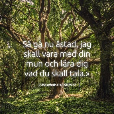 Picture 05 - 2 Mosebok 4:12 SV1917 - Så gå nu åstad, jag skall vara med din mun och - Bible Verse Picture